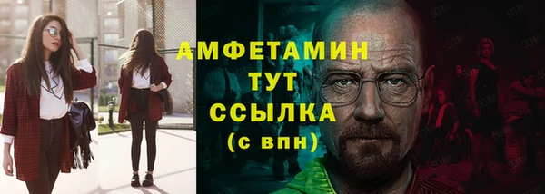 гидра Володарск
