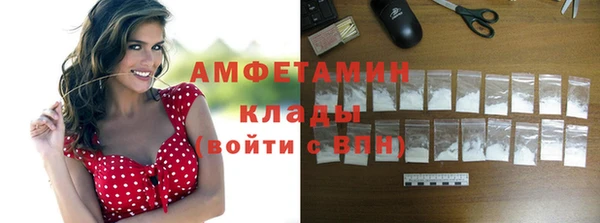 гидра Володарск