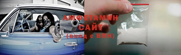 гидра Володарск