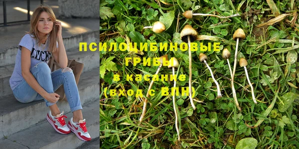 гашиш Волосово