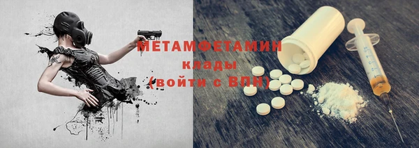 гидра Володарск