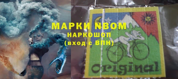 гидра Володарск